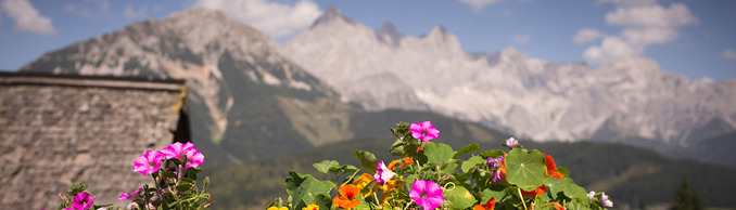 Copyright © Josefina & Wolfgang Bleier, Austria